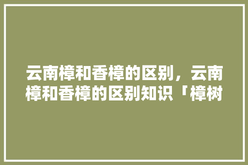 云南樟和香樟的区别，云南樟和香樟的区别知识「樟树到云南旅游攻略路线」 云南樟和香樟的区别，云南樟和香樟的区别知识「樟树到云南旅游攻略路线」 旅游攻略