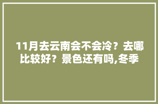11月去云南会不会冷？去哪比较好？景色还有吗,冬季云南旅游最佳路线 11月去云南会不会冷？去哪比较好？景色还有吗,冬季云南旅游最佳路线 汽车常识