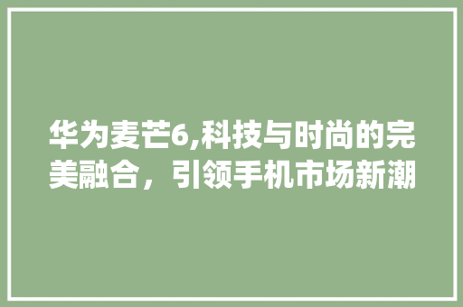 华为麦芒6,科技与时尚的完美融合，引领手机市场新潮流(华为麦芒6首发) 时尚穿搭
