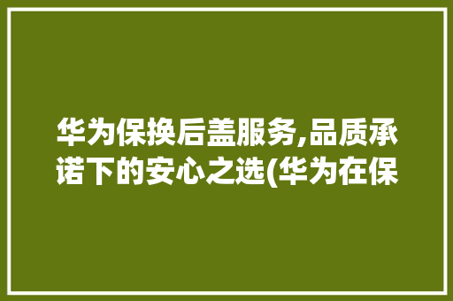 华为保换后盖服务,品质承诺下的安心之选(华为在保换后盖) 时尚穿搭