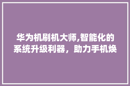 华为机刷机大师,智能化的系统升级利器，助力手机焕发新活力(华为机刷机大师) 教育法律