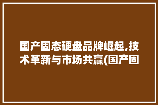 国产固态硬盘品牌崛起,技术革新与市场共赢(国产固态硬盘品牌) 美食菜谱