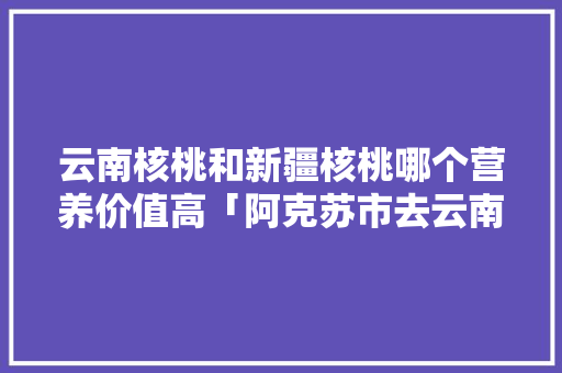 云南核桃和新疆核桃哪个营养价值高「阿克苏市去云南旅游攻略路线」 云南核桃和新疆核桃哪个营养价值高「阿克苏市去云南旅游攻略路线」 汽车常识