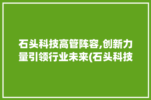 石头科技高管阵容,创新力量引领行业未来(石头科技高管名单) 旅游攻略