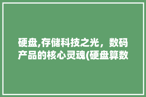 硬盘,存储科技之光，数码产品的核心灵魂(硬盘算数码产品嘛)