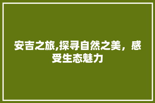 安吉之旅,探寻自然之美，感受生态魅力 旅游攻略