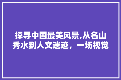探寻中国最美风景,从名山秀水到人文遗迹，一场视觉与文化的盛宴 教育法律