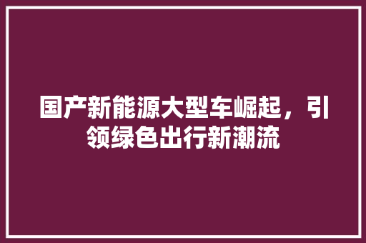 国产新能源大型车崛起，引领绿色出行新潮流 汽车常识