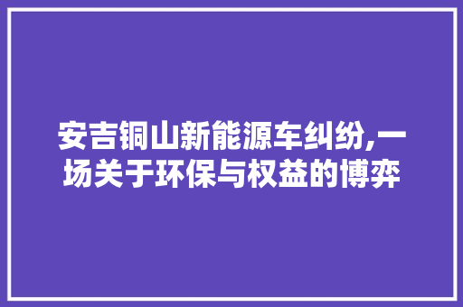 安吉铜山新能源车纠纷,一场关于环保与权益的博弈 汽车常识