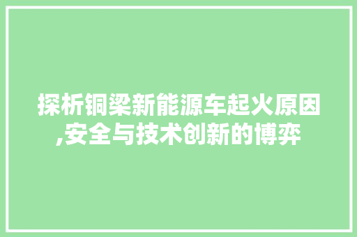 探析铜梁新能源车起火原因,安全与技术创新的博弈 汽车常识