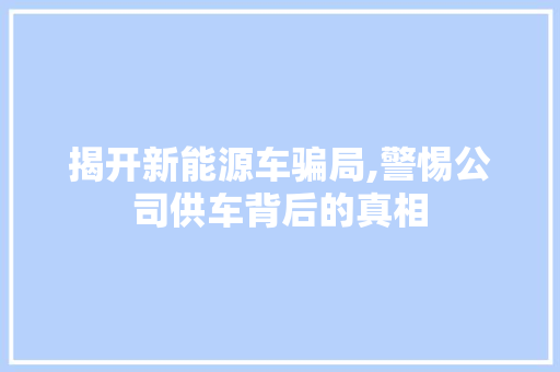 揭开新能源车骗局,警惕公司供车背后的真相 汽车常识