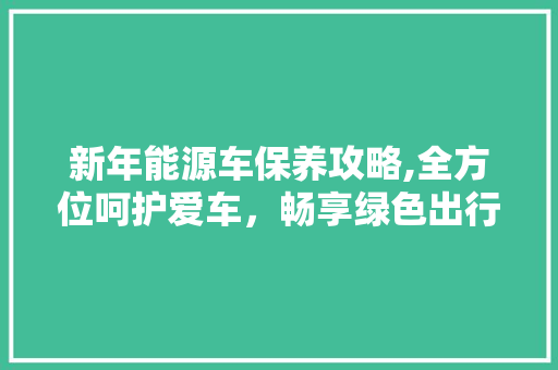 新年能源车保养攻略,全方位呵护爱车，畅享绿色出行 汽车常识