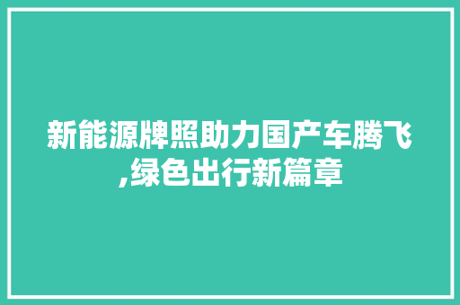 新能源牌照助力国产车腾飞,绿色出行新篇章 汽车常识
