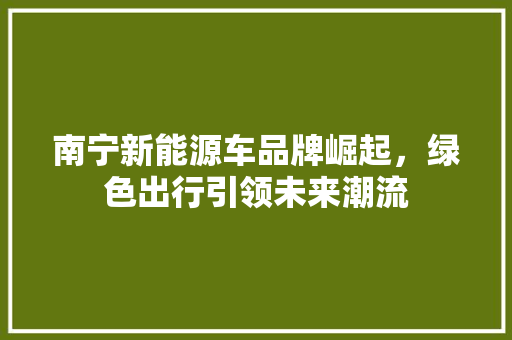 南宁新能源车品牌崛起，绿色出行引领未来潮流 汽车常识