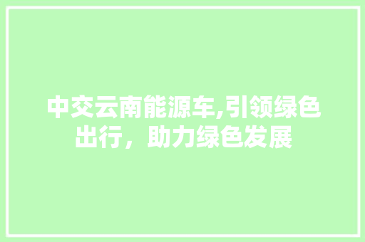 中交云南能源车,引领绿色出行，助力绿色发展 汽车常识