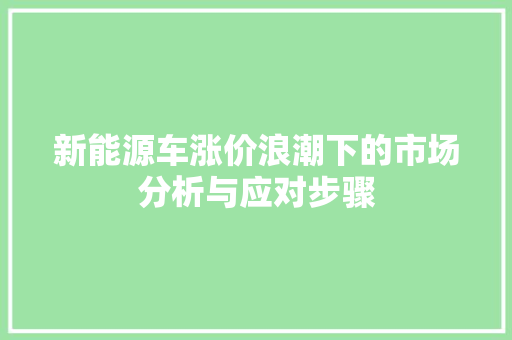 新能源车涨价浪潮下的市场分析与应对步骤 汽车常识