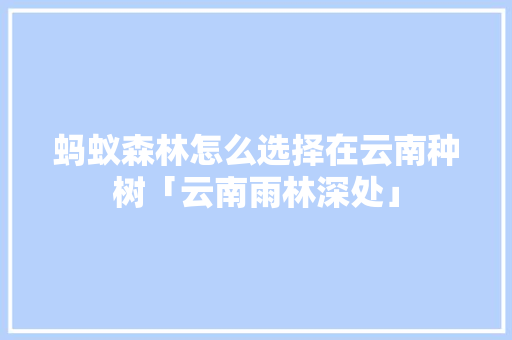 蚂蚁森林怎么选择在云南种树「云南雨林深处」 蚂蚁森林怎么选择在云南种树「云南雨林深处」 手机电脑