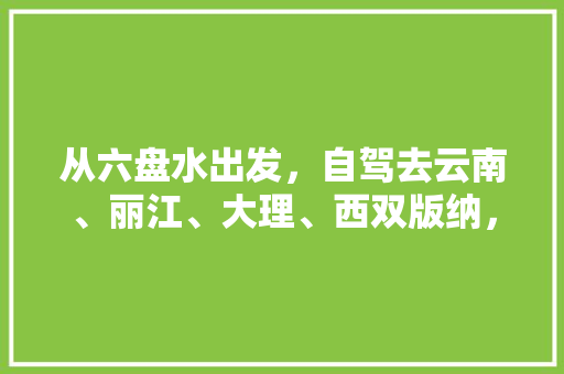 从六盘水出发，自驾去云南、丽江、大理、西双版纳，有什么合理的旅游路线吗「云南旅游攻略先去大理吗现在」 从六盘水出发，自驾去云南、丽江、大理、西双版纳，有什么合理的旅游路线吗「云南旅游攻略先去大理吗现在」 美食菜谱