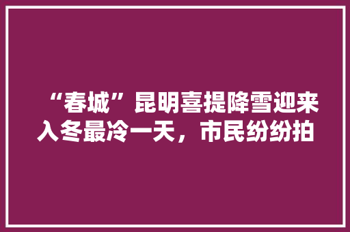 “春城”昆明喜提降雪迎来入冬最冷一天，市民纷纷拍图发朋友圈, 你怎么看「云南小雪山」 “春城”昆明喜提降雪迎来入冬最冷一天，市民纷纷拍图发朋友圈, 你怎么看「云南小雪山」 美食菜谱