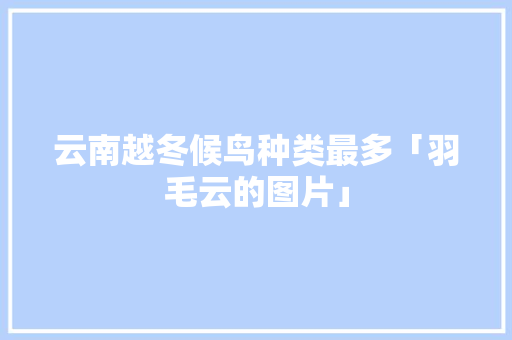 云南越冬候鸟种类最多「羽毛云的图片」 云南越冬候鸟种类最多「羽毛云的图片」 时尚穿搭