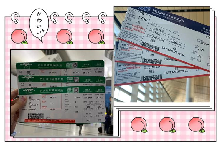 云南到长沙飞机需要飞几个小时「长沙到云南旅游攻略暑假游玩」 健康母婴 云南到长沙飞机需要飞几个小时「长沙到云南旅游攻略暑假游玩」 云南到长沙飞机需要飞几个小时「长沙到云南旅游攻略暑假游玩」 健康母婴
