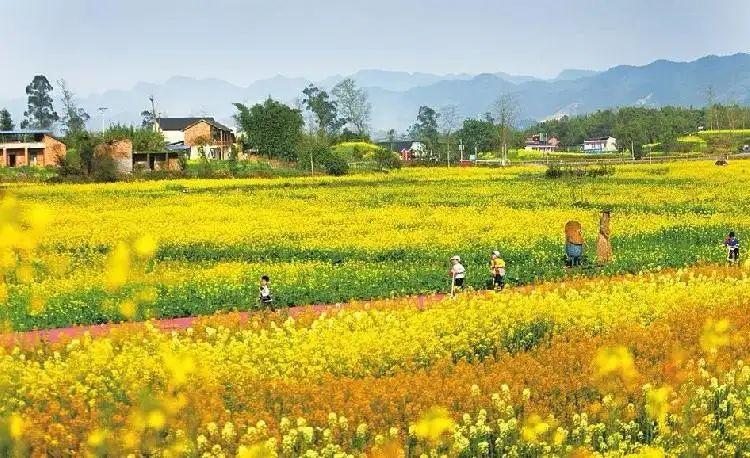 乡村振兴将会催生哪些投资机会「邹平到云南旅游攻略路线」 旅游攻略 乡村振兴将会催生哪些投资机会「邹平到云南旅游攻略路线」 乡村振兴将会催生哪些投资机会「邹平到云南旅游攻略路线」 旅游攻略