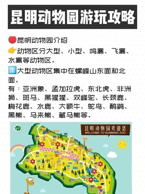 昆明动物园圆通山游玩攻略「云南旅游顺利归来攻略图」 汽车常识 昆明动物园圆通山游玩攻略「云南旅游顺利归来攻略图」 昆明动物园圆通山游玩攻略「云南旅游顺利归来攻略图」 汽车常识